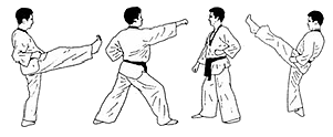 Tae Kwon Do - Kämpfer - Kero-Gi