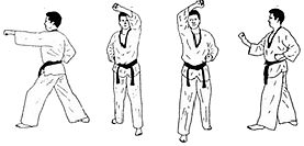 Tae Kwon Do - Kämpfer - Kero-Gi